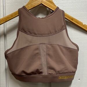The Chestee Mauve Sports Bra